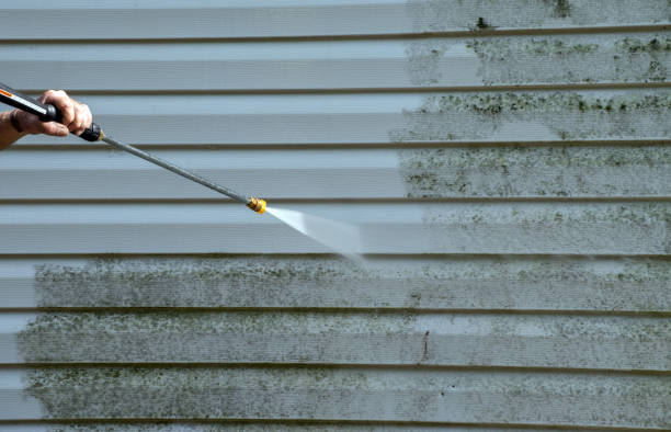 Best Sidewalk Pressure Washing  in Sloan, IA