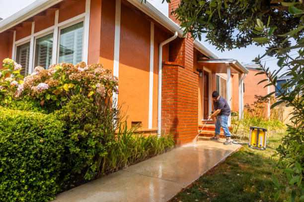 Best Exterior Home Cleaning  in Sloan, IA